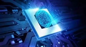 人工智能芯片 硬件與軟件共生，驅動AI應用軟件開發的未來